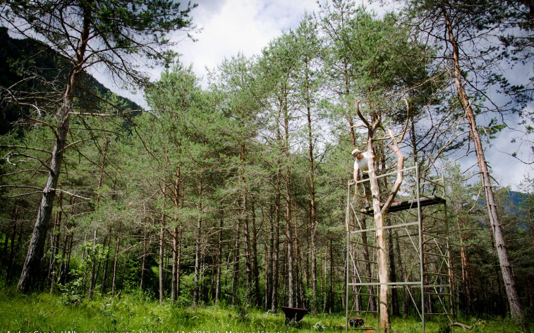 Albero Innamorato