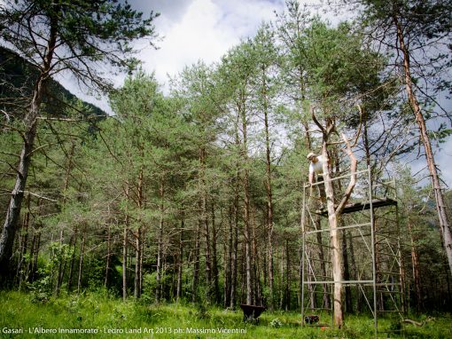 Albero Innamorato