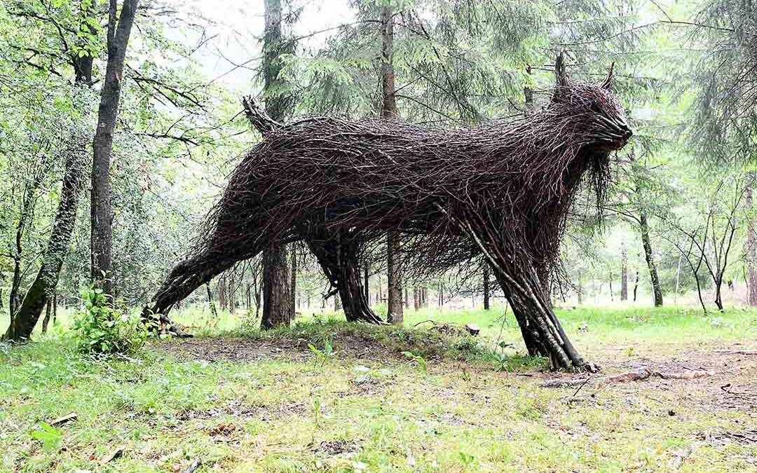 LYNX LEUTRENSES